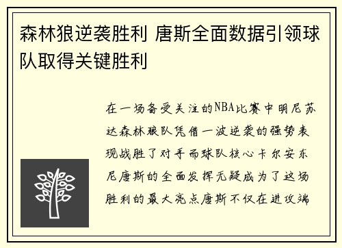 森林狼逆袭胜利 唐斯全面数据引领球队取得关键胜利