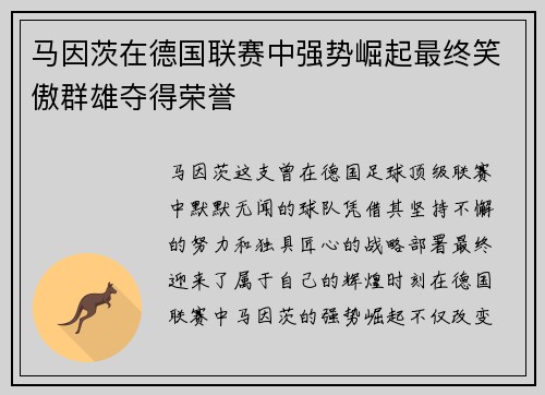 马因茨在德国联赛中强势崛起最终笑傲群雄夺得荣誉