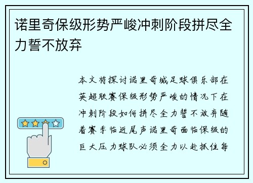 诺里奇保级形势严峻冲刺阶段拼尽全力誓不放弃